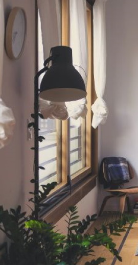 photo du salon de un appartement avec un canape une chaise une lampe une plante et une fenetre