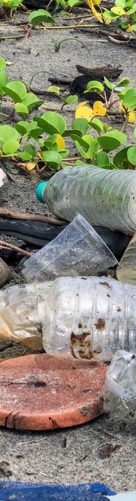 image de dechets non recyclable sur la plage