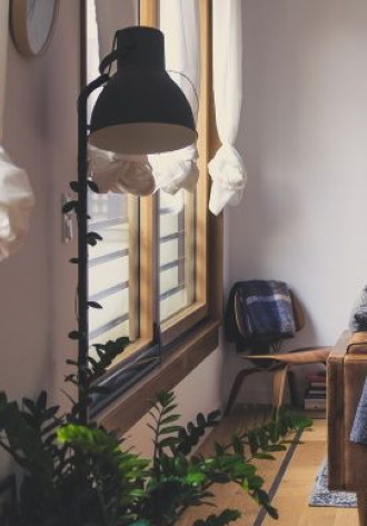 photo du salon de un appartement avec un canape une chaise une lampe une plante et une fenetre